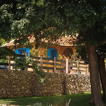 Zeleni Zaliv-the Bay Donji Milanovac