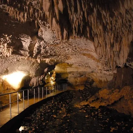 Zeleni Zaliv-the Bay *